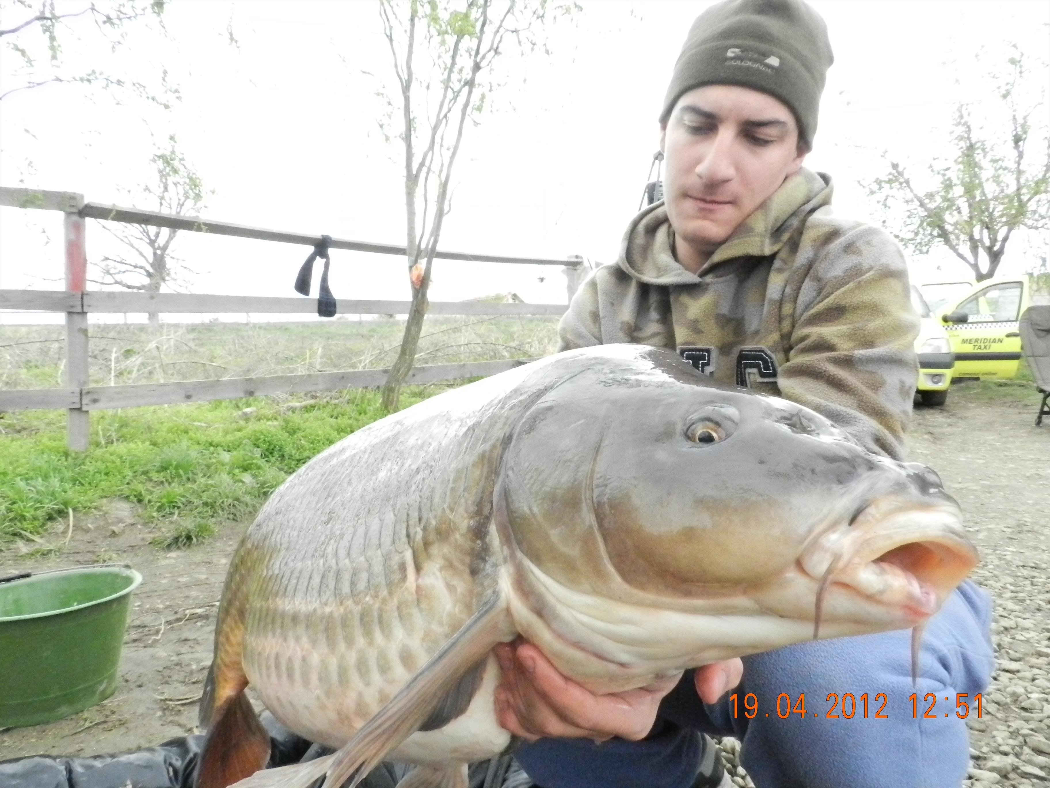 Tancabesti - DSCN0026.JPG